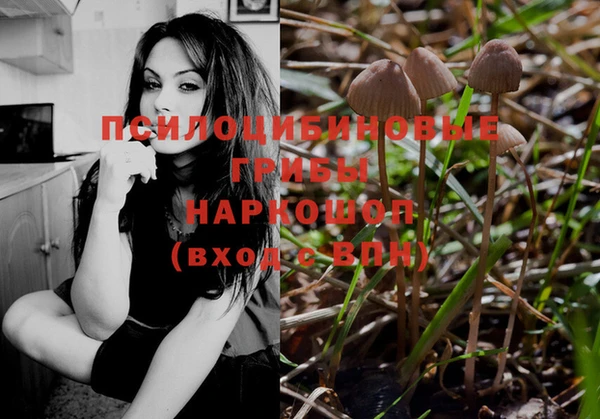 мет Белокуриха