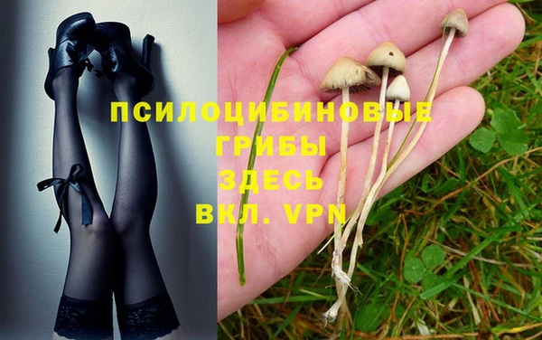 кокаин премиум Беломорск