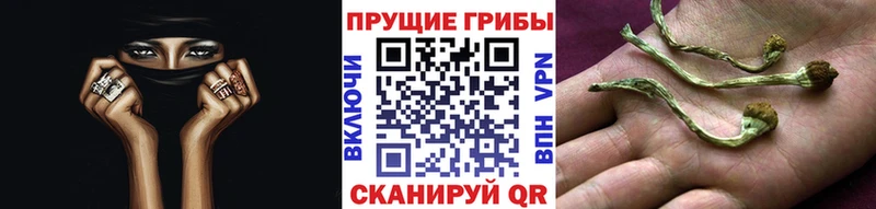 Псилоцибиновые грибы ЛСД  Верхний Тагил 